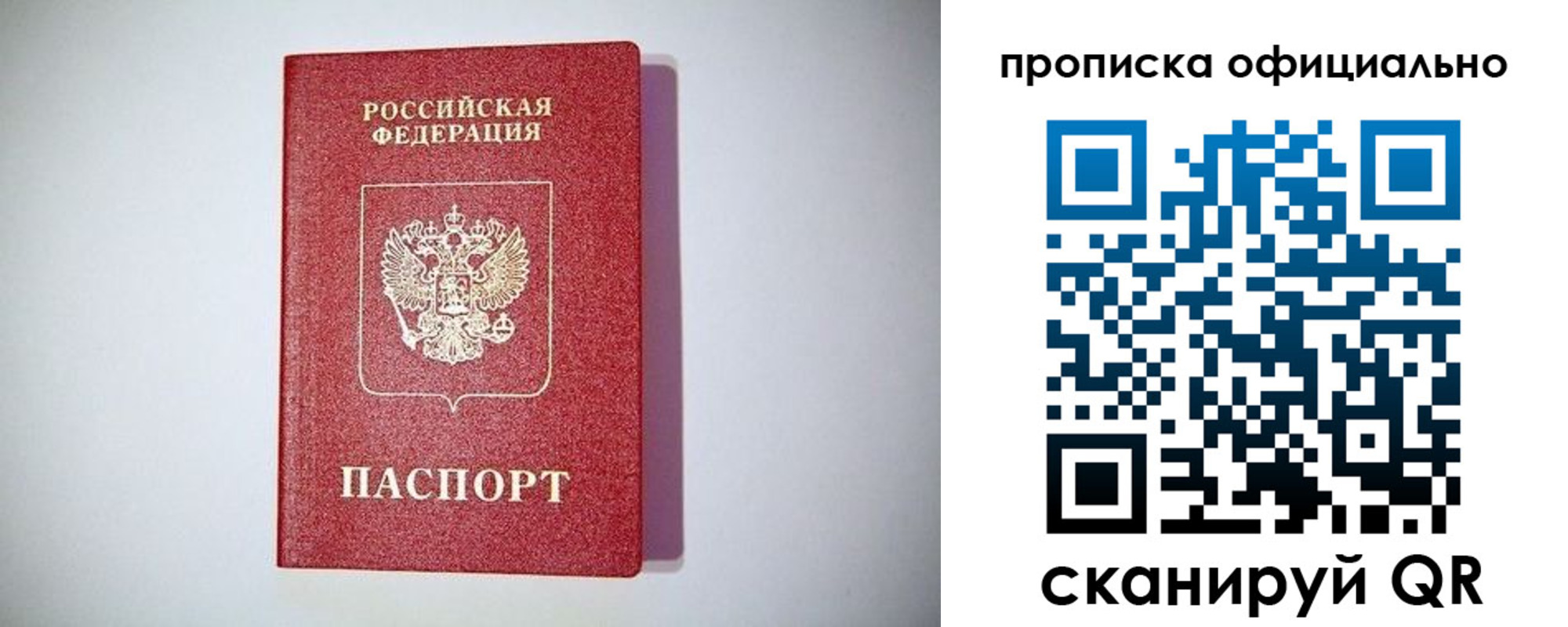 прописка в Лодейном Поле